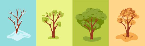 A gentle gradient illustration representing the four seasons flowing into one continuous cycle